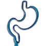 Stomach thumbnail