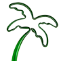 Tree / Palm thumbnail
