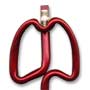 Lungs thumbnail
