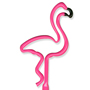 Flamingo thumbnail