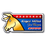 Democratic Donkey thumbnail