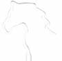 Horse thumbnail