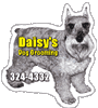 Schnauzer (Dog) thumbnail