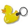 Duck thumbnail
