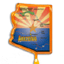 Arizona thumbnail