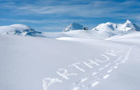 Walking in Snow thumbnail