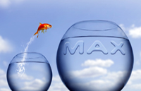 Goldfish thumbnail
