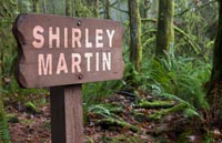 Forest Sign thumbnail