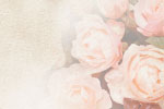 Wedding thumbnail