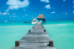 Dock thumbnail