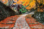 Stone Walk thumbnail