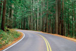 Road thumbnail