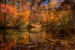 Fall Lake thumbnail