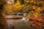 Fall Stream thumbnail