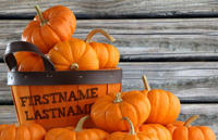 Pumpkin Basket thumbnail