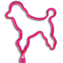 Dog / Poodle thumbnail