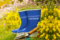 Boots thumbnail