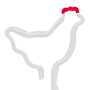 Chicken MC thumbnail