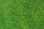 Grass 2 thumbnail