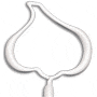 Garlic thumbnail