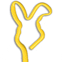 Rabbit thumbnail