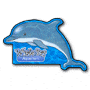 Dolphin thumbnail