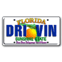 Licence Plate thumbnail