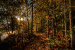 Fall Trail thumbnail