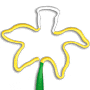Daffodil (MC) thumbnail
